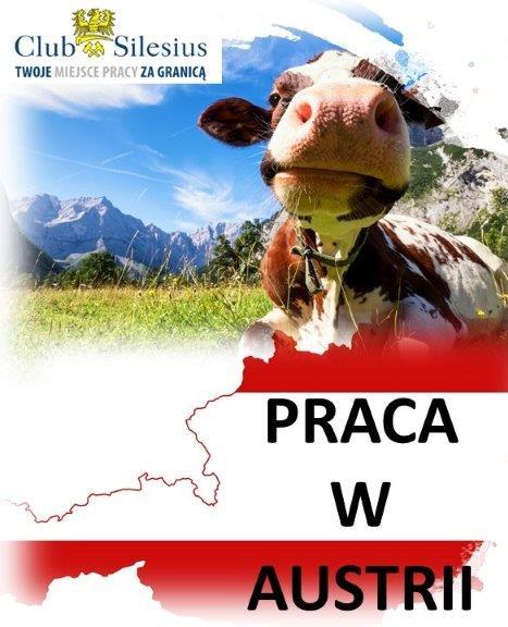 PRACOWNIK PRODUKCJI Z JĘZYKIEM NIEMIECKIM - Austria