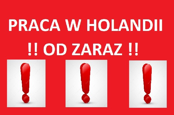 Praca wakacyjna !! Holandia!!