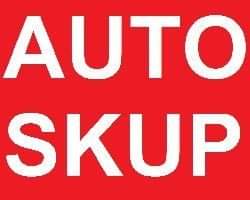 Skup aut