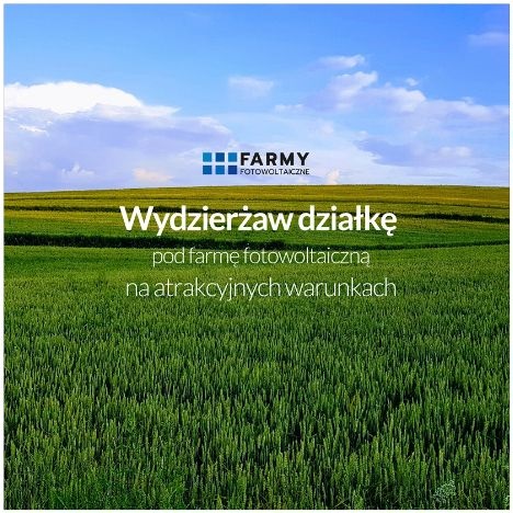 Wydzierżawię działkę pod farmę fotowoltaiczną